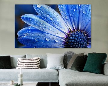 Bloem met regendruppels
