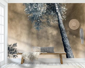 Surreal tree with golden sky infrared photo print by Hidden Light Gallery