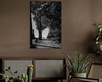 Silhouet Fotografie Palatijn Rome Italië van Martijn Jebbink Fotografie