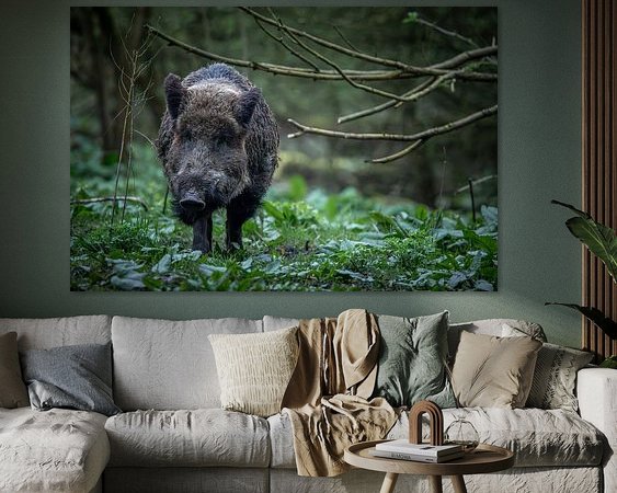 Aperçu de la chambre