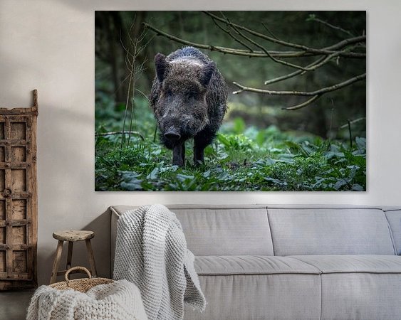 Aperçu de la chambre