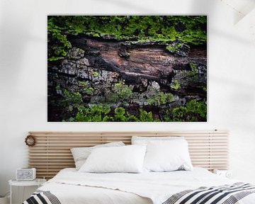 Boomstam met Mos | Natuur Wanddecoratie voor Thuis en Kantoor - Unieke Textuur Fotokunst van Elianne van Turennout