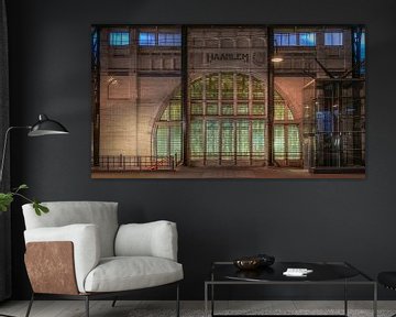 Station Haarlem van Photo Wall Decoration