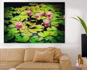 Reflections in bloom
