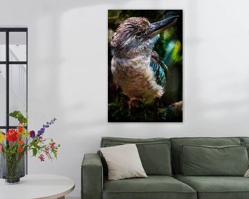 Australian bird