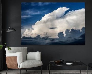 Cloud Photography Bird Dark Blue White by Martijn Jebbink Photography
