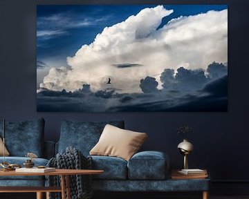 Wolk Fotografie Vogel Donkerblauw Wit 16x9 van Martijn Jebbink Fotografie