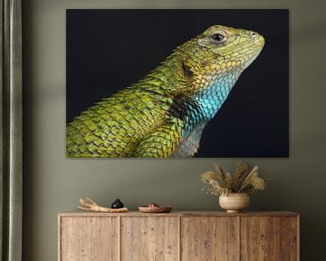 Smaragd Stekelleguaan (Sceloporus malachiticus) van Ronald Pol