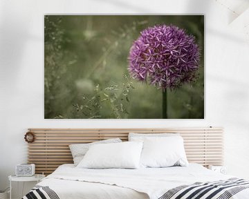 Prachtige paarse bloem sier-ui Allium in pastelkleuren van Wildlife Designs