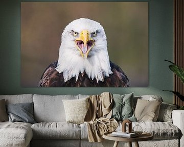 Angry bird by Erik Lei