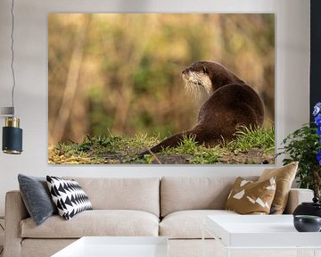 Otterporträt mit herbstlichem Hintergrund