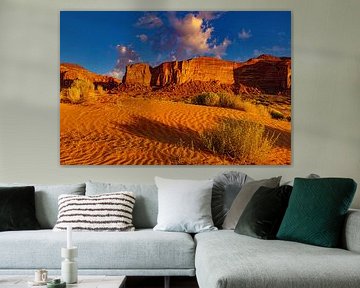 Monument Valley Stammespark von Gert Hilbink