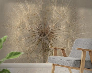 Peace in nature: fluff ball of a Tragopogon by Marjolijn van den Berg