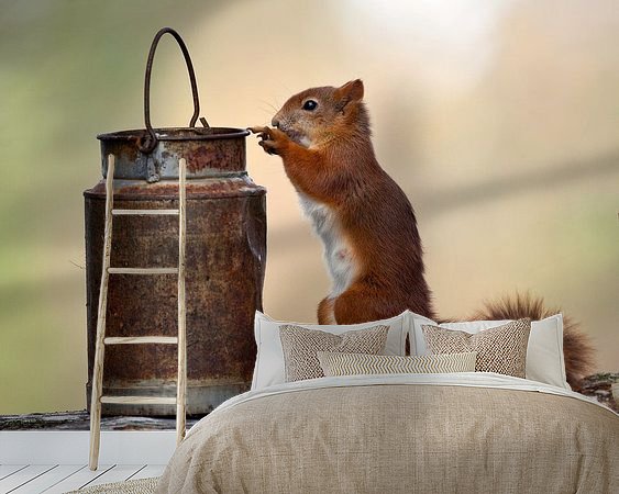 Aperçu de la chambre