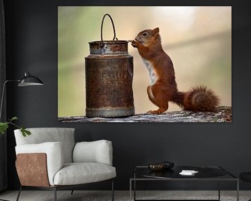 Eichhörnchen am Futtertisch in der Natur Schwedens von Wim Wilmers