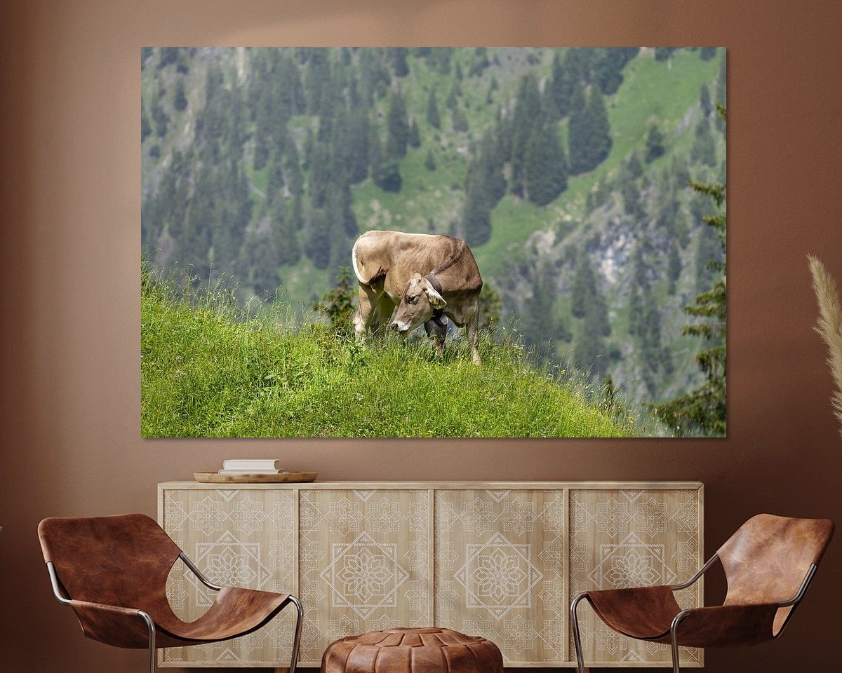 Raumvorschau