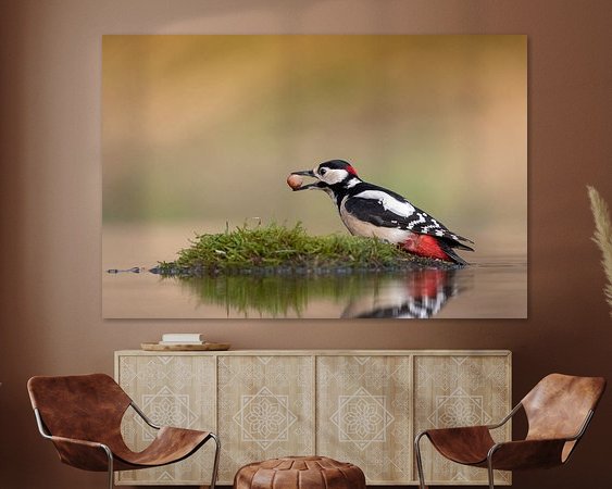 Aperçu de la chambre