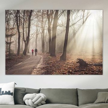 Morning walk Speulder forest, Three