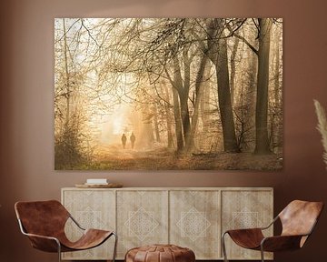 Morning walk in Speulders forest by Peter Haastrecht, van