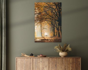 Morning walk in Speulders forest by Peter Haastrecht, van