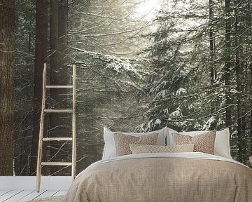 Morning walk in snowy forest Hilversum by Peter Haastrecht, van