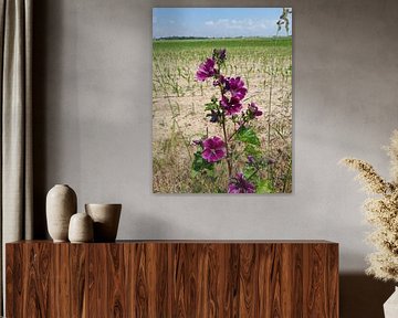 Blume im Acker