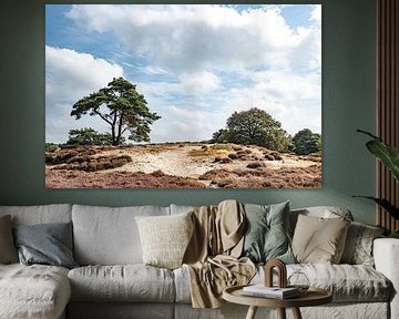 Drenthe at its most beautiful