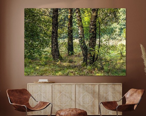 Aperçu de la chambre