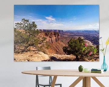 Canyonlands-Nationalpark, Utah, USA von Gert Hilbink