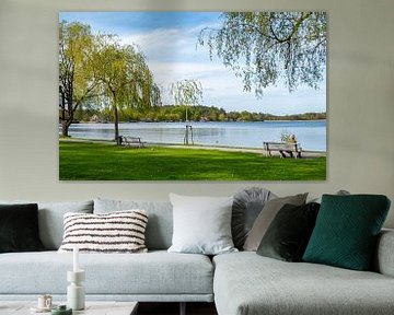 Landschap van het Nationaal Park Müritz in het Mecklenburgse merengebied in Duitsland van Animaflora PicsStock