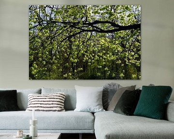 Natuurfoto Iep Bloeiend van Martijn Jebbink Fotografie