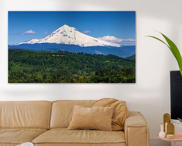 Mount Hood, Oregon, Verenigde Staten van Adelheid Smitt