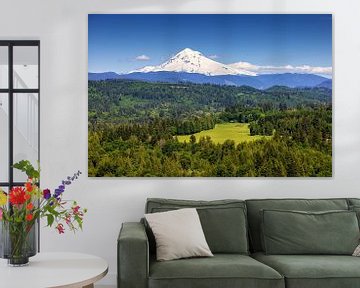 Kijkend naar Mt Hood in Oregon van Adelheid Smitt