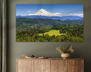 Mt Hood panorama, Oregon, Verenigde Staten van Adelheid Smitt