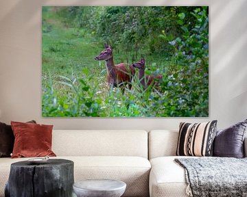 doe with young