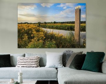 Stijlvol veld met gele bloemen aan Rivier de Vecht in Overijssel van Wildlife Designs