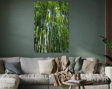 Bambus van Gabi Siebenhühner