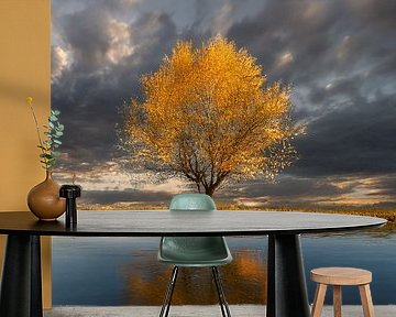 der goldene Baum von Christina Bauer Photos