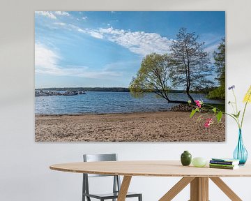 Landschap van het Nationaal Park Müritz in het Mecklenburgse merengebied in Duitsland van Animaflora PicsStock