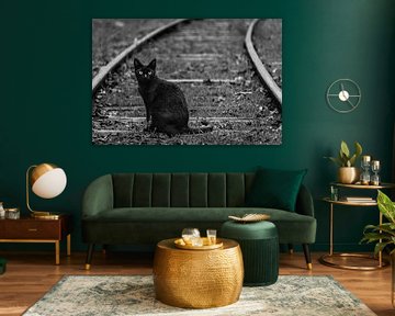 Zwarte kat van BNW Nude Art