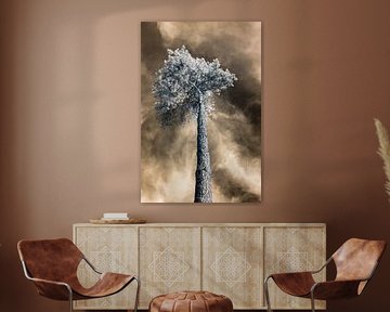 Infrarotfotografie eines stattlichen Baumes aus einer einzigartigen Perspektive mit dramatischem goldenen Himmel. Fotoabzug.
