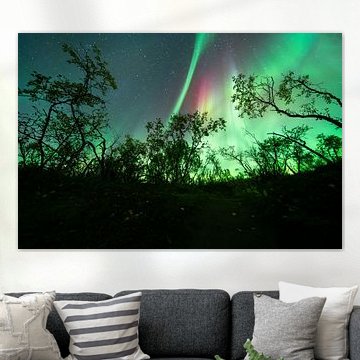 Aurora tanzt mit den Bäumen