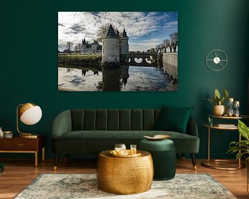 Castle of Sully-sur-Loire by PhotoImpression