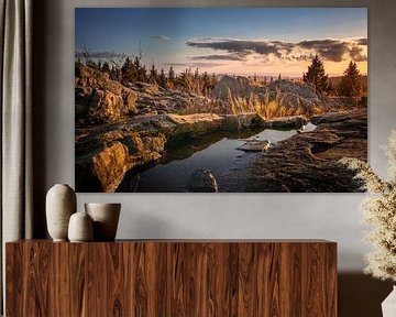 Herbstliche Stimmung im Harz von Steffen Henze