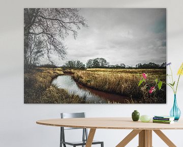 Vredig landschap met rivier de Reest tijdens winterdag van Wildlife Designs