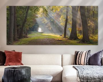 Zonneharpen in het bos van Fraeylemaborg te Slochteren van Rick Goede