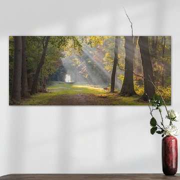 Sun harps in the forest of Fraeylemaborg in Slochteren