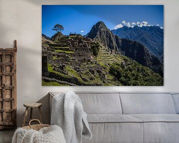 Machu Picchu
