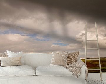 Dramatisch licht boven de kwelders van Groningen