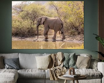 Elefant in Wassernähe